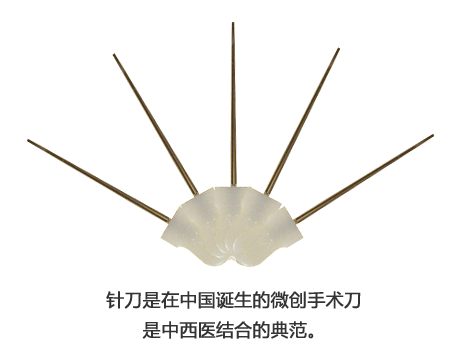 胜春针刀